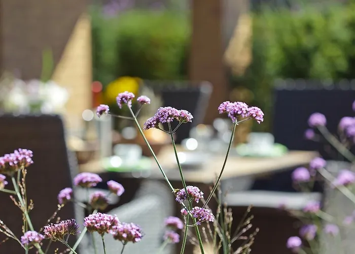 Mein Ferienhaus Дом отдыха Вернигероде